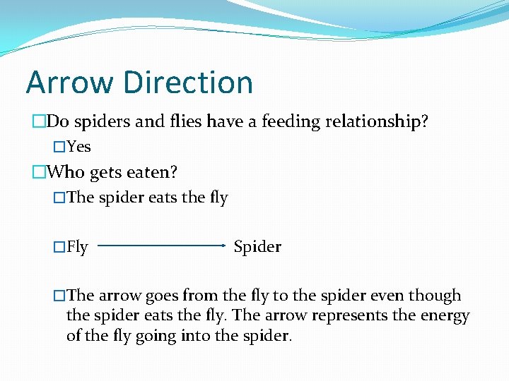 Arrow Direction �Do spiders and flies have a feeding relationship? �Yes �Who gets eaten?