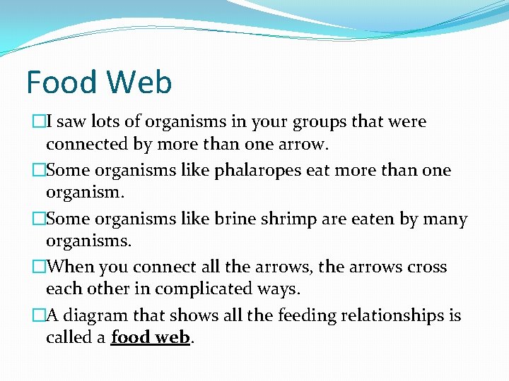 Food Web �I saw lots of organisms in your groups that were connected by
