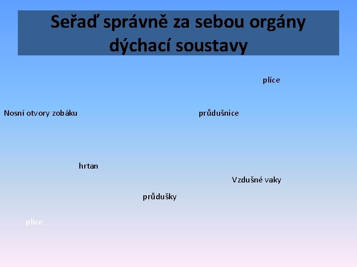 Seřaď správně za sebou orgány dýchací soustavy plíce Nosní otvory zobáku průdušnice hrtan Vzdušné