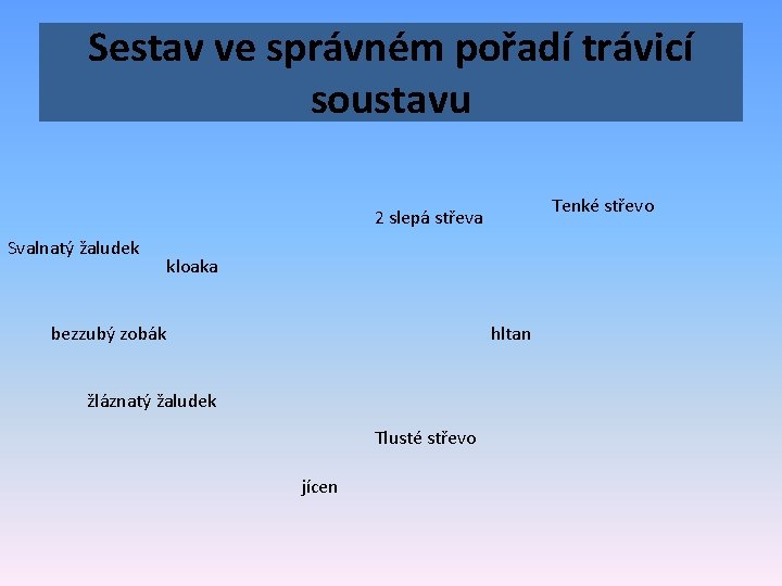 Sestav ve správném pořadí trávicí soustavu Tenké střevo 2 slepá střeva Svalnatý žaludek kloaka