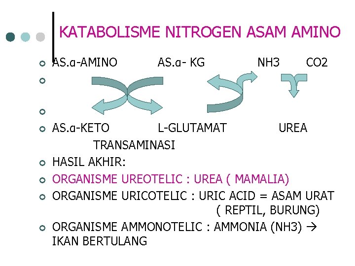 KATABOLISME NITROGEN ASAM AMINO ¢ AS. α-AMINO AS. α- KG NH 3 CO 2