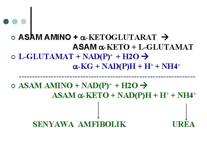 ¢ ¢ ¢ ASAM AMINO + -KETOGLUTARAT ASAM -KETO + L-GLUTAMAT + NAD(P)+ +