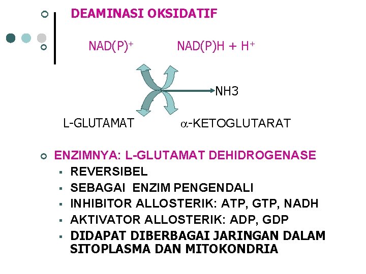 ¢ ¢ DEAMINASI OKSIDATIF NAD(P)+ NAD(P)H + H+ NH 3 L-GLUTAMAT ¢ -KETOGLUTARAT ENZIMNYA: