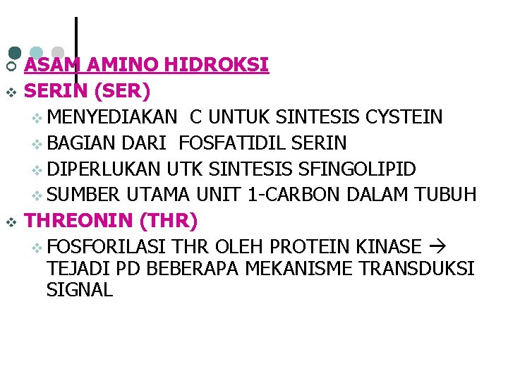 ¢ v v ASAM AMINO HIDROKSI SERIN (SER) v MENYEDIAKAN C UNTUK SINTESIS CYSTEIN