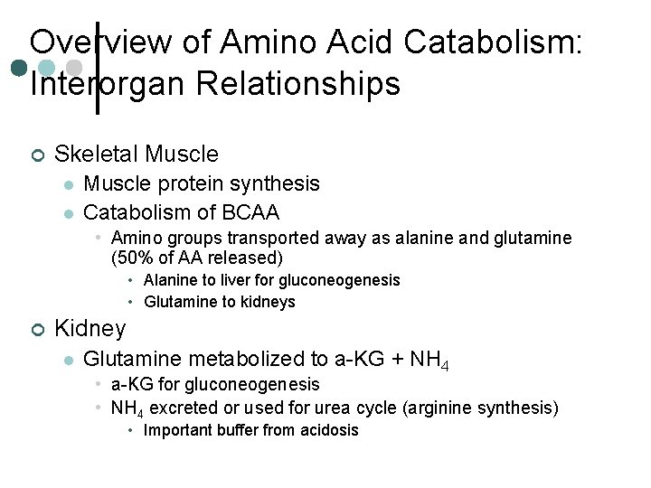 Overview of Amino Acid Catabolism: Interorgan Relationships ¢ Skeletal Muscle l l Muscle protein