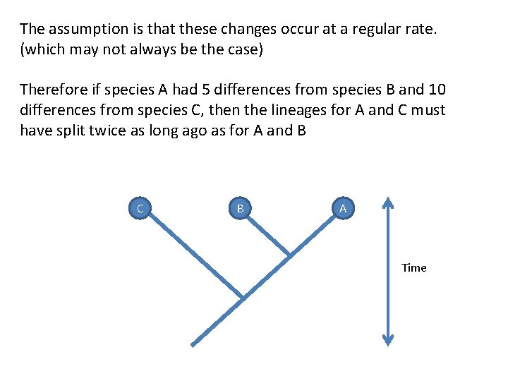 The assumption is that these changes occur at a regular rate. (which may not