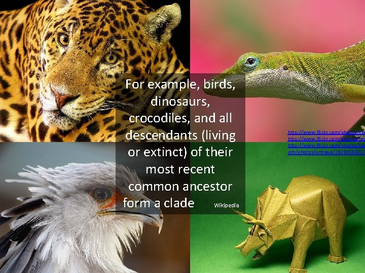 For example, birds, dinosaurs, crocodiles, and all descendants (living or extinct) of their most