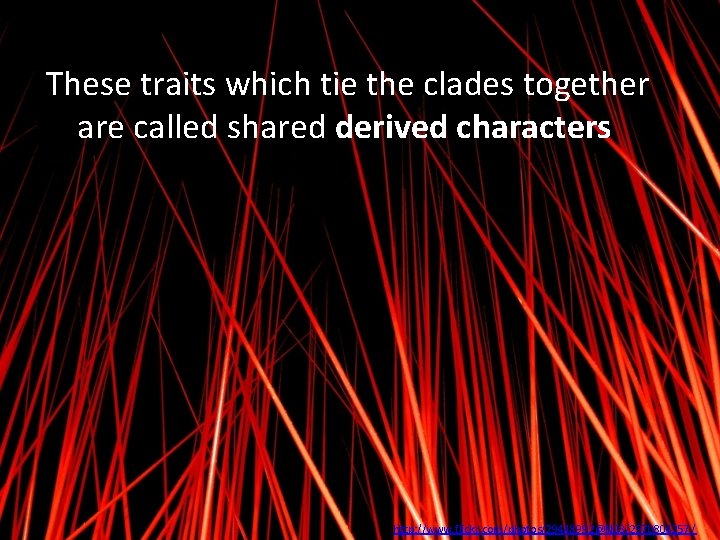 These traits which tie the clades together are called shared derived characters http: //www.