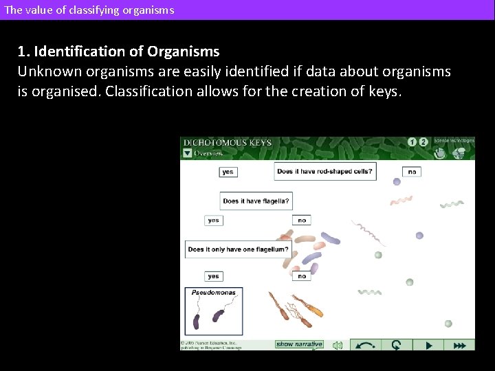 The value of classifying organisms 1. Identification of Organisms Unknown organisms are easily identified