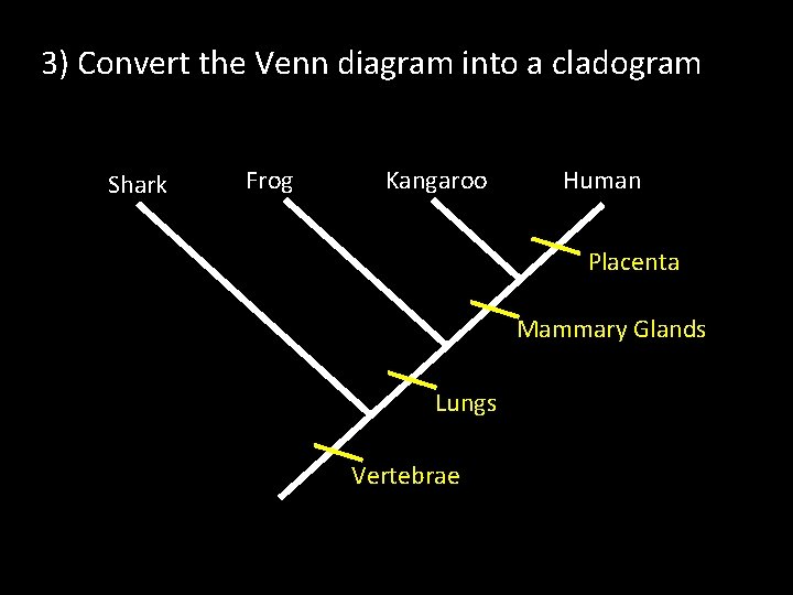 3) Convert the Venn diagram into a cladogram Shark Frog Kangaroo Human Placenta Mammary