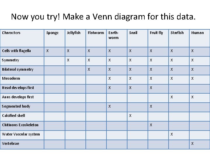 Now you try! Make a Venn diagram for this data. Characters Sponge Jellyfish Flatworm