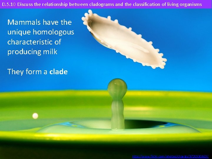 D. 5. 10 Discuss the relationship between cladograms and the classification of living organisms