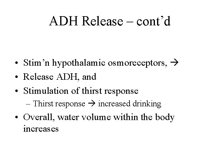 ADH Release – cont’d • Stim’n hypothalamic osmoreceptors, • Release ADH, and • Stimulation
