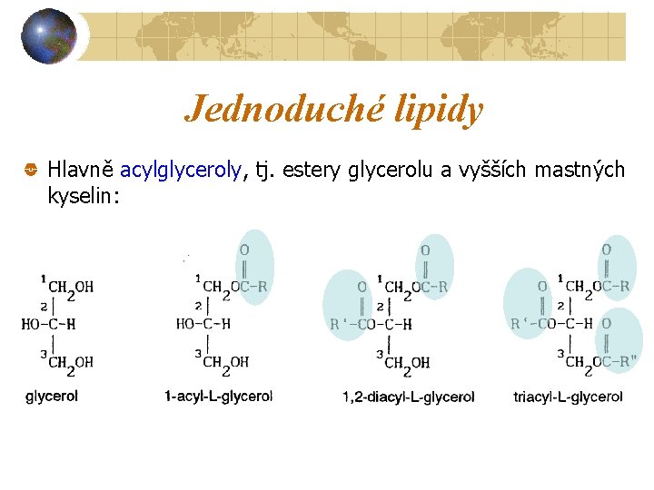 Jednoduché lipidy Hlavně acylglyceroly, tj. estery glycerolu a vyšších mastných kyselin: 