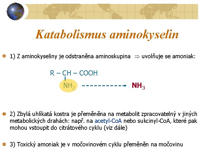 Katabolismus aminokyselin 1) Z aminokyseliny je odstraněna aminoskupina uvolňuje se amoniak: R – CH