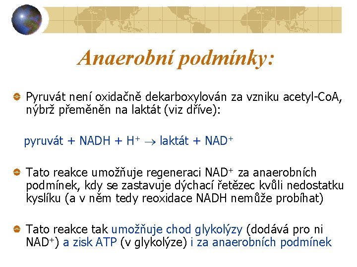 Anaerobní podmínky: Pyruvát není oxidačně dekarboxylován za vzniku acetyl-Co. A, nýbrž přeměněn na laktát