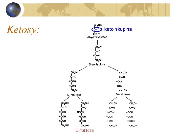 Ketosy: keto skupina CH 2 OH D-fruktosa 