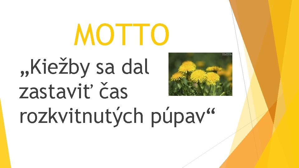 MOTTO „Kiežby sa dal zastaviť čas rozkvitnutých púpav“ 