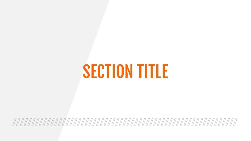 SECTION TITLE 