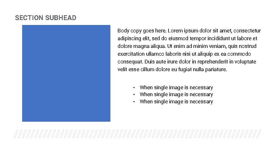 SECTION SUBHEAD Body copy goes here. Lorem ipsum dolor sit amet, consectetur adipiscing elit,