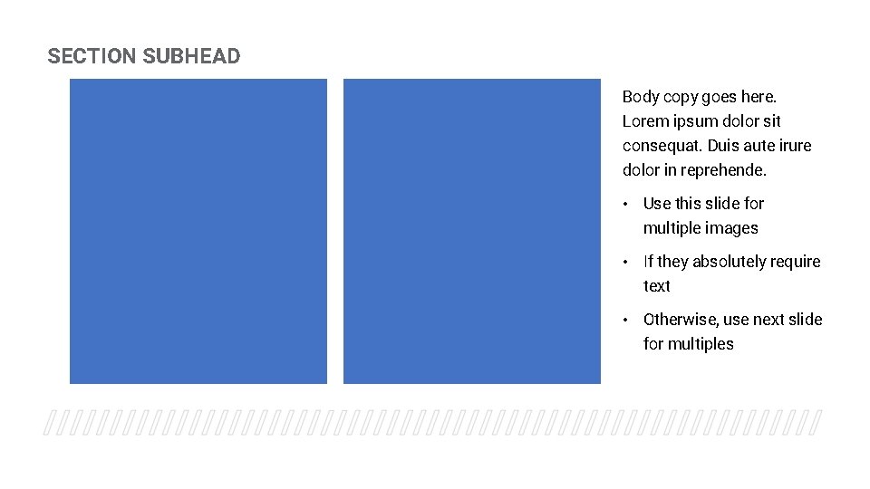 SECTION SUBHEAD Body copy goes here. Lorem ipsum dolor sit consequat. Duis aute irure