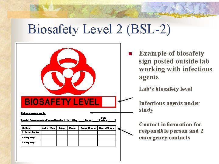 Biosafety Level 2 (BSL-2) n Example of biosafety sign posted outside lab working with Biosafety Level 2 (BSL-2) n Example of biosafety sign posted outside lab working with