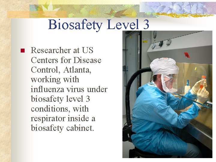 Biosafety Level 3 n Researcher at US Centers for Disease Control, Atlanta, working with Biosafety Level 3 n Researcher at US Centers for Disease Control, Atlanta, working with