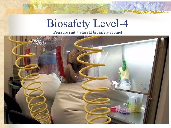 Biosafety Level-4 Pressure suit + class II biosafety cabinet Biosafety Level-4 Pressure suit + class II biosafety cabinet