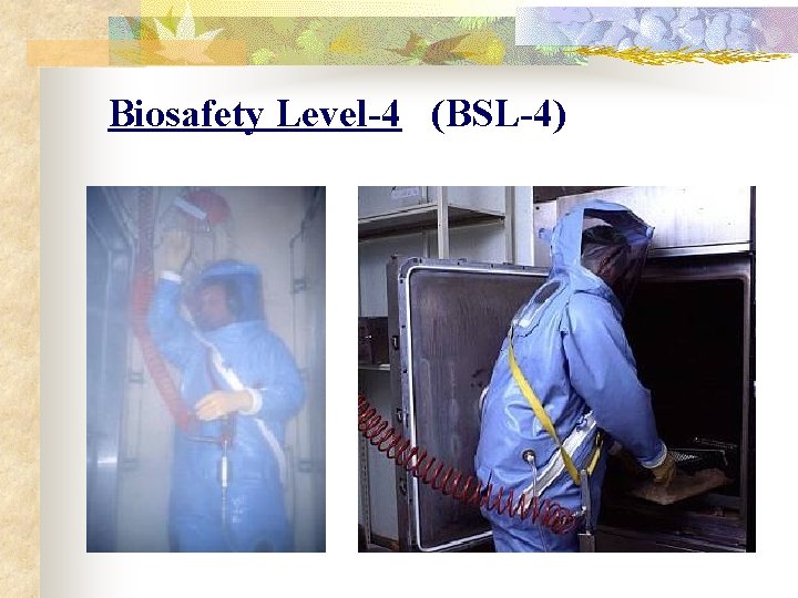 Biosafety Level-4 (BSL-4) Biosafety Level-4 (BSL-4)