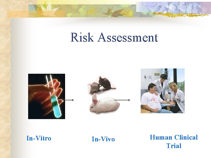 Risk Assessment In-Vitro In-Vivo Human Clinical Trial Risk Assessment In-Vitro In-Vivo Human Clinical Trial