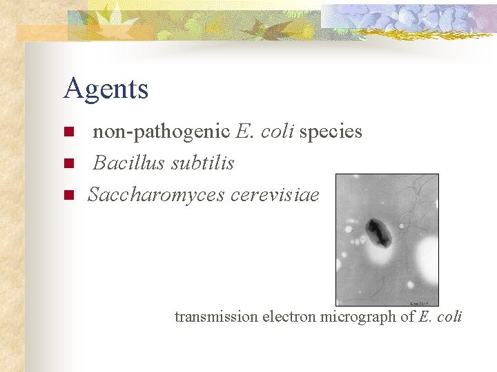 Agents n n n non-pathogenic E. coli species Bacillus subtilis Saccharomyces cerevisiae transmission electron Agents n n n non-pathogenic E. coli species Bacillus subtilis Saccharomyces cerevisiae transmission electron