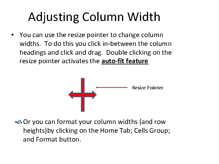 Adjusting Column Width • You can use the resize pointer to change column widths.