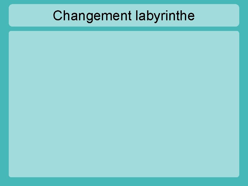 Changement labyrinthe 