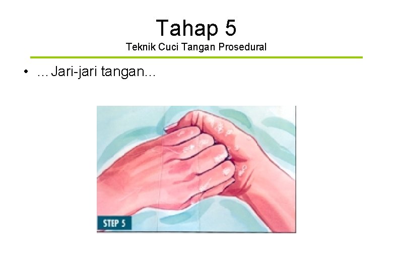 Tahap 5 Teknik Cuci Tangan Prosedural • …Jari-jari tangan… 