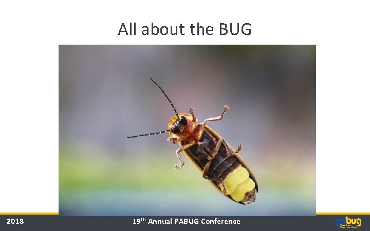 All about the BUG 2018 19 th Annual PABUG Conference 