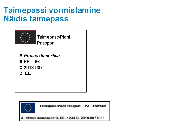 Taimepassi vormistamine Näidis taimepass Taimepass/Plant Passport A Prunus domestica B EE – 66 C