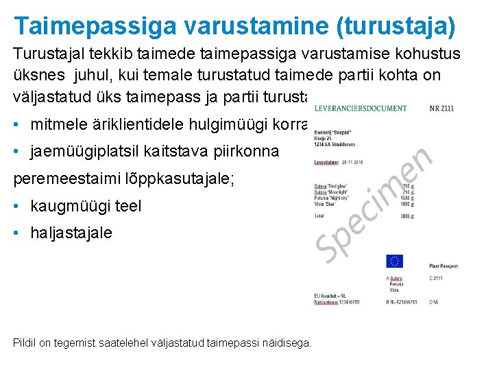 Taimepassiga varustamine (turustaja) Turustajal tekkib taimede taimepassiga varustamise kohustus üksnes juhul, kui temale turustatud