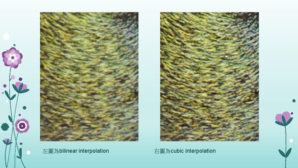 左圖為bilinear interpolation 右圖為cubic interpolation 