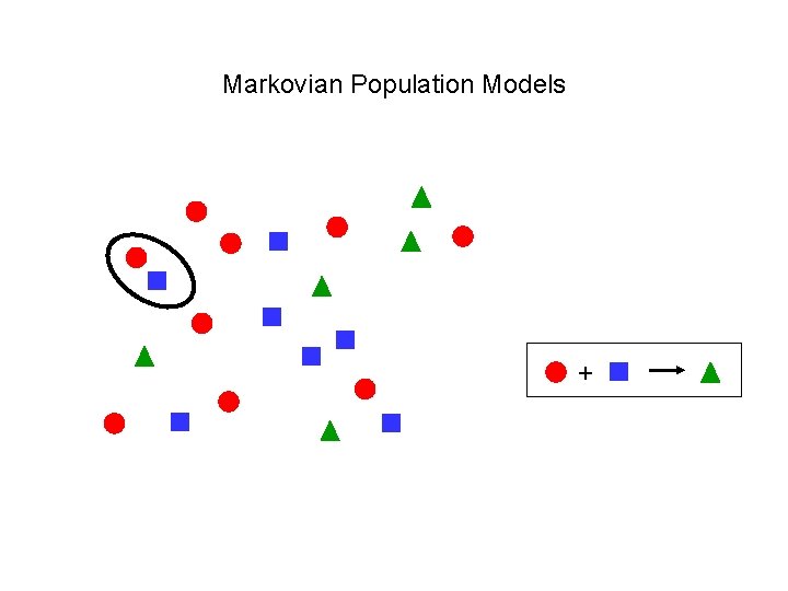 Markovian Population Models + 