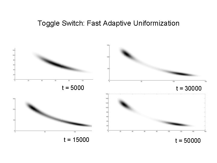 Toggle Switch: Fast Adaptive Uniformization t = 5000 t = 15000 t = 30000