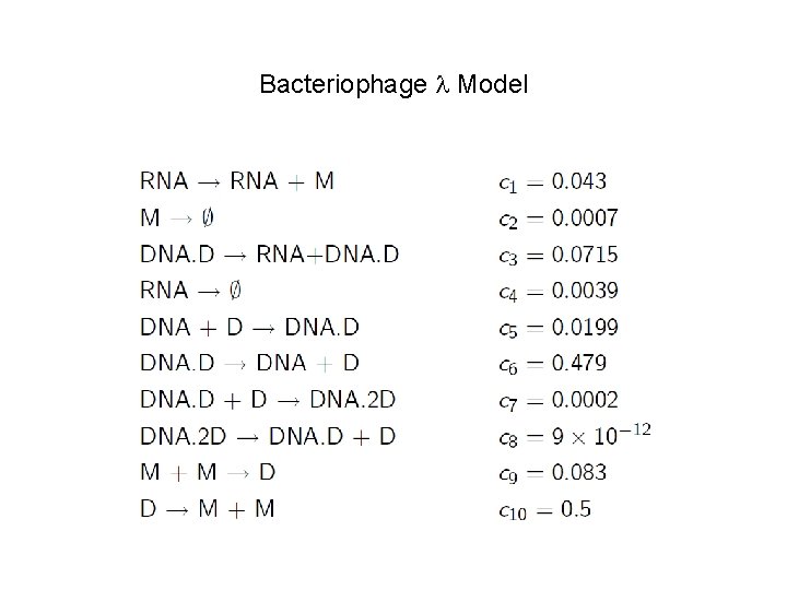 Bacteriophage Model 