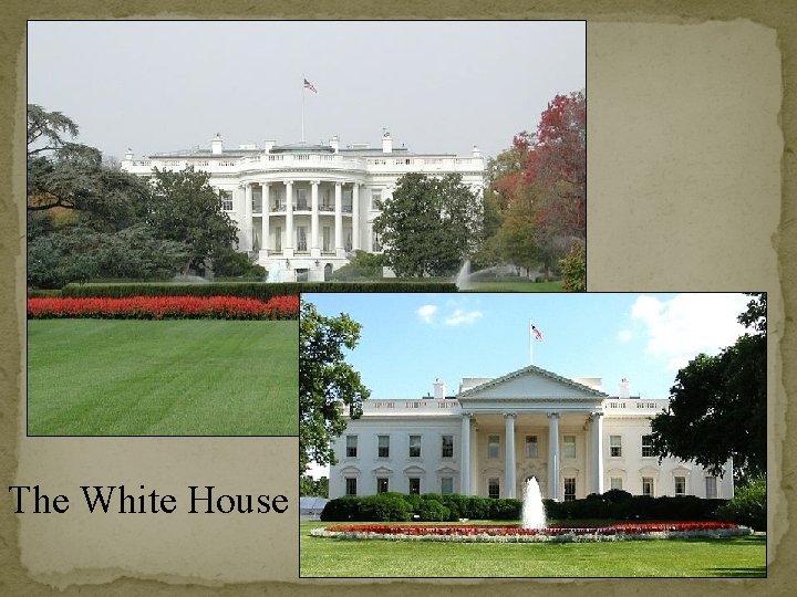 The White House 