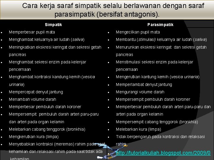 Cara kerja saraf simpatik selalu berlawanan dengan saraf parasimpatik (bersifat antagonis). Simpatik Parasimpatik Memperbesar