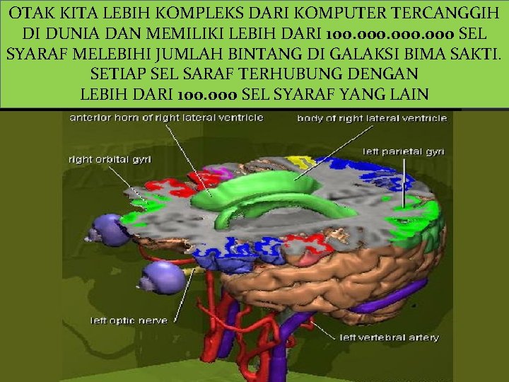 OTAK KITA LEBIH KOMPLEKS DARI KOMPUTER TERCANGGIH DI DUNIA DAN MEMILIKI LEBIH DARI 100.