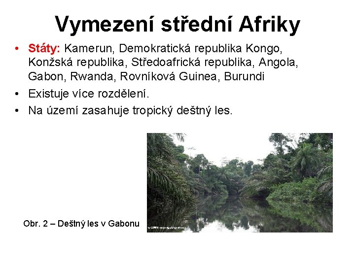 Vymezení střední Afriky • Státy: Kamerun, Demokratická republika Kongo, Konžská republika, Středoafrická republika, Angola,