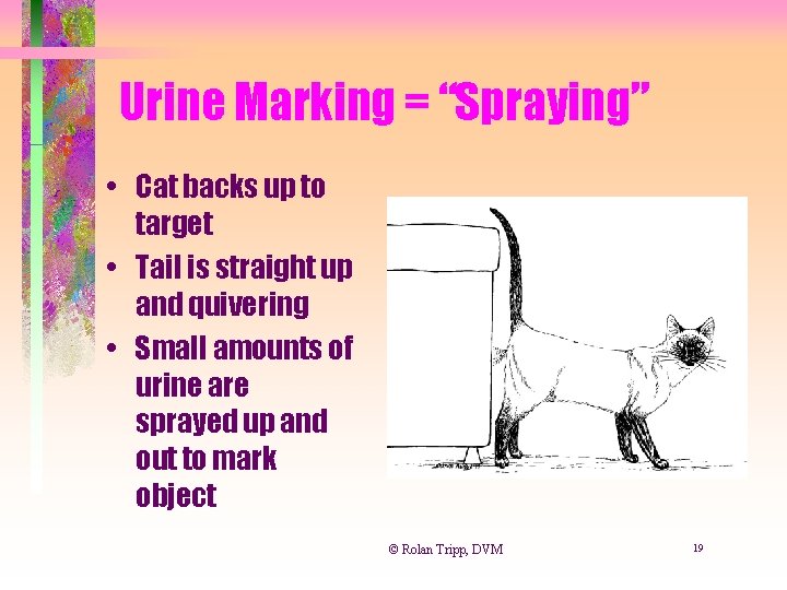 Urine Marking = “Spraying” • Cat backs up to target • Tail is straight