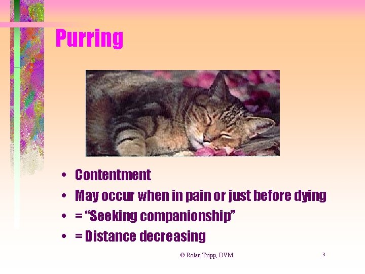 Purring • • Contentment May occur when in pain or just before dying =