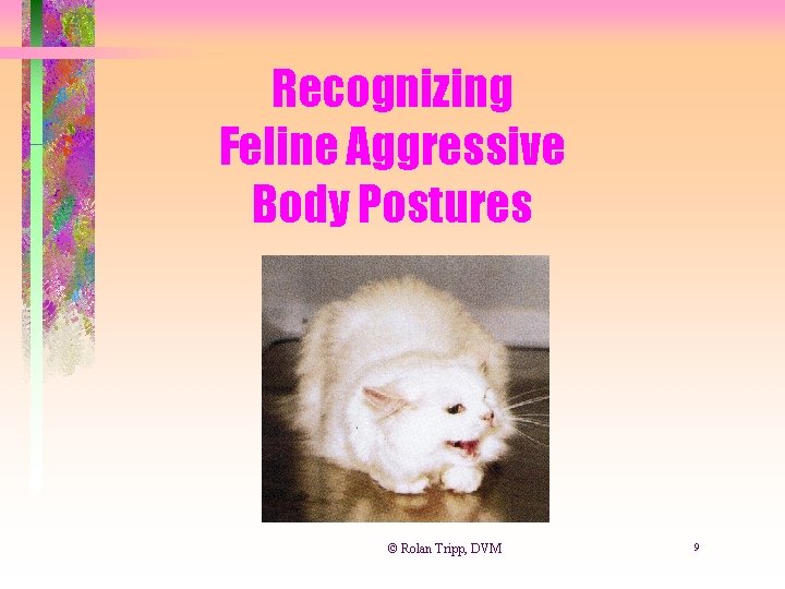 Recognizing Feline Aggressive Body Postures © Rolan Tripp, DVM 9 