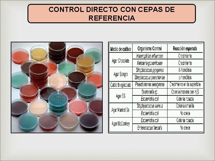 CONTROL DIRECTO CON CEPAS DE REFERENCIA 