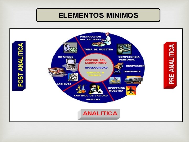 ELEMENTOS MINIMOS 